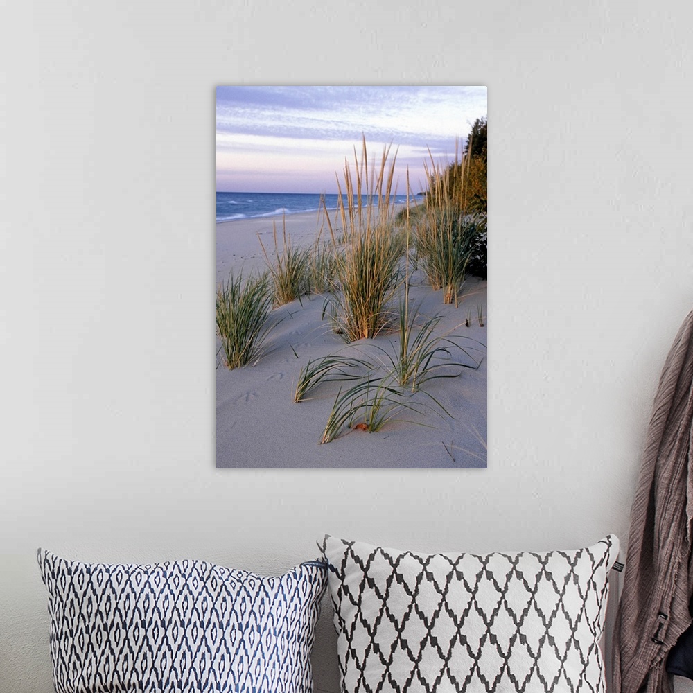 A bohemian room featuring PICTURED ROCKS NATIONAL LAKESHORE. LAKE SUPERIOR.  BEACH or MARRAM GRASS . Pioneer dune-building ...