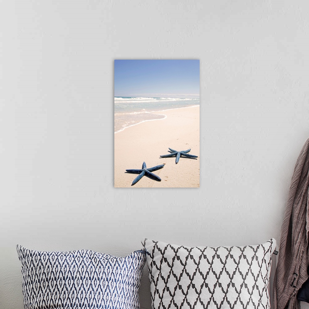 A bohemian room featuring Vertical panoramic photograph of two star fish on the sand with surf coming in under a clear sky.