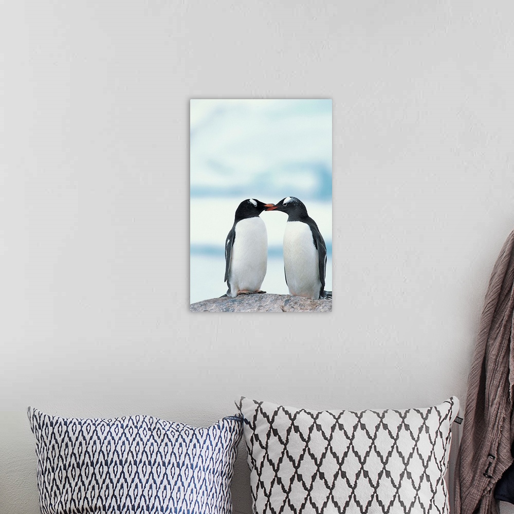 A bohemian room featuring Two Gentoo Penguins touching beaks