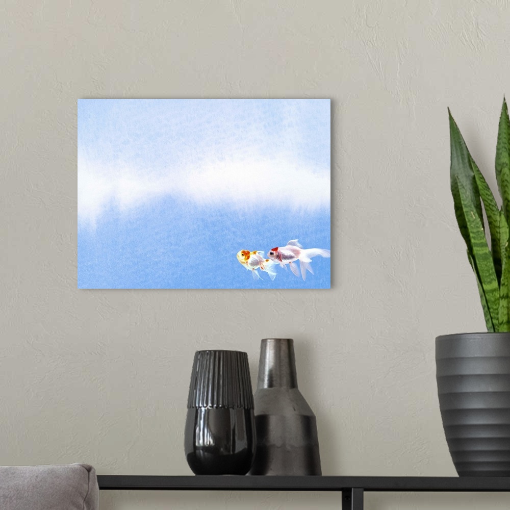 A modern room featuring Two Goldfish