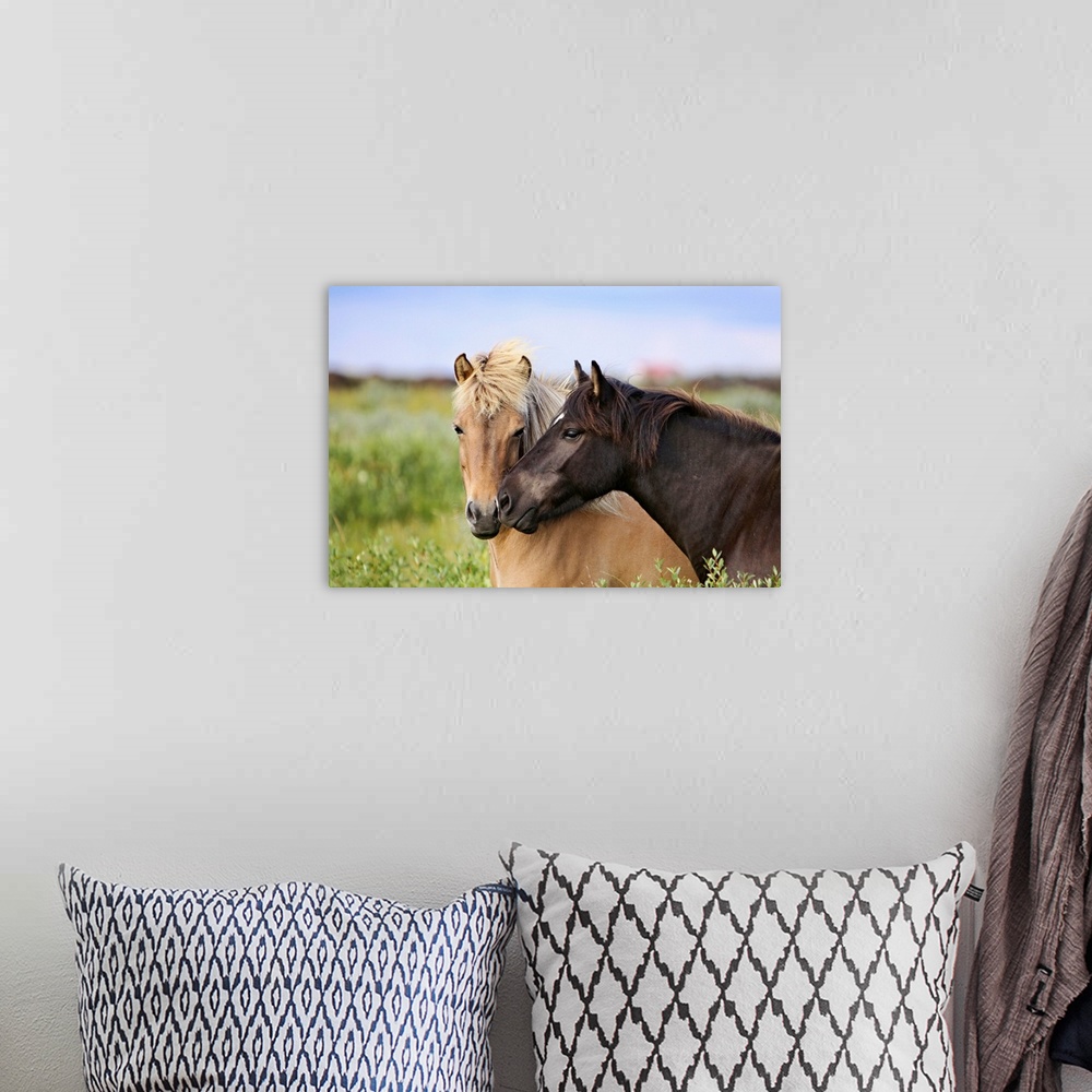 A bohemian room featuring Huge photograph taken of a couple horses caressing each other as they stand in a field.  The inte...