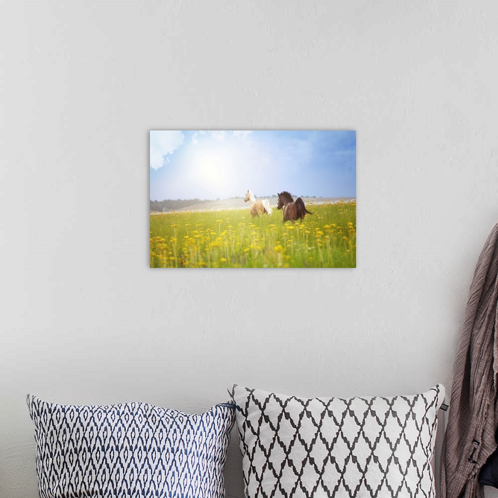 A bohemian room featuring Two horses running in summer field.