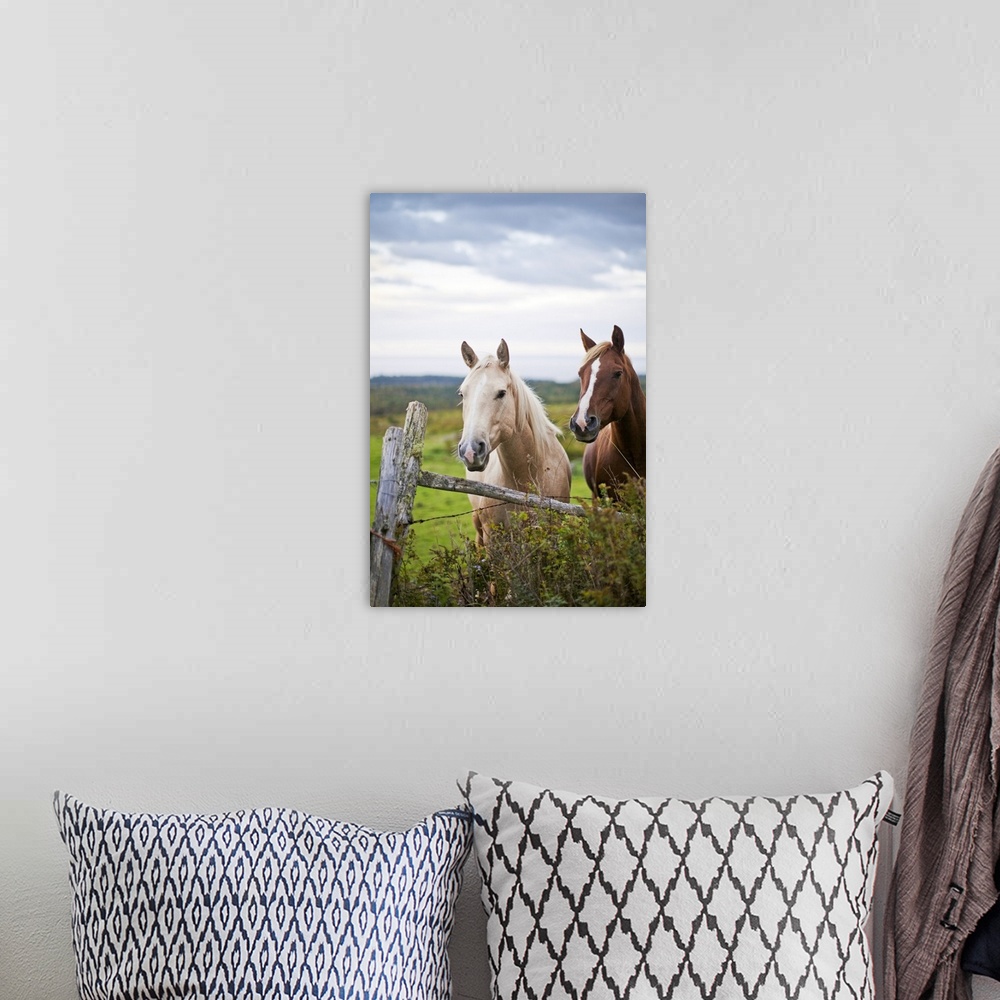 A bohemian room featuring This vertical piece is a photograph taken of two horses as they stand behind a wooden fence. The ...