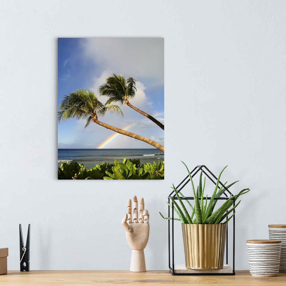 A bohemian room featuring Two palm trees on beach and rainbow over sea in background at Hawaii.