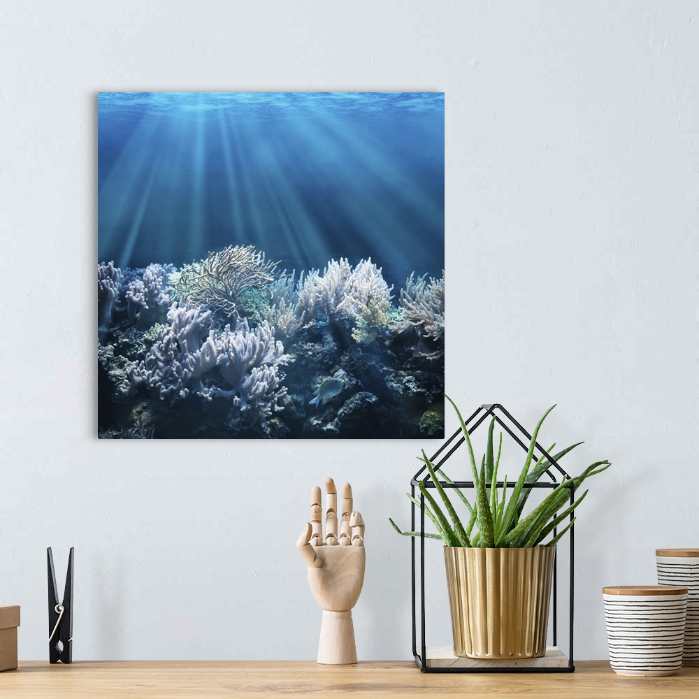 A bohemian room featuring Underwater