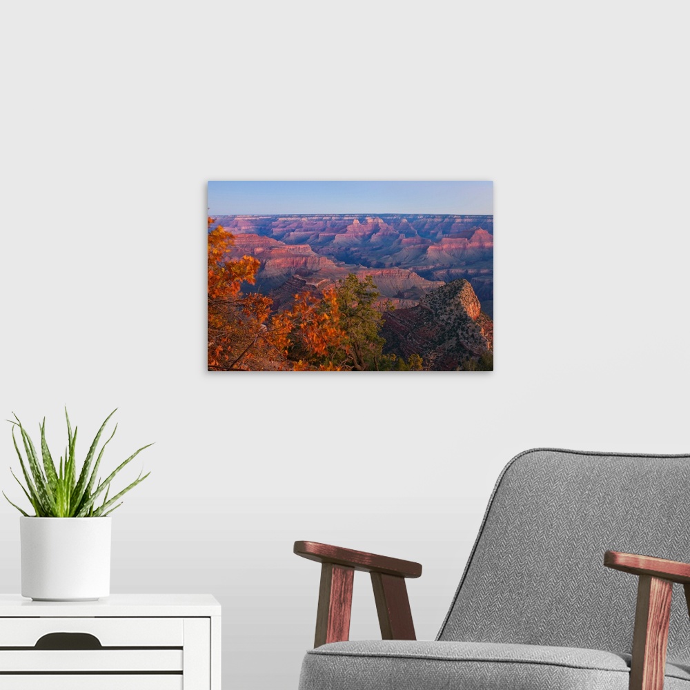 A modern room featuring Giant, landscape photograph of fall colored tree tops overlooking large rock formations as the su...