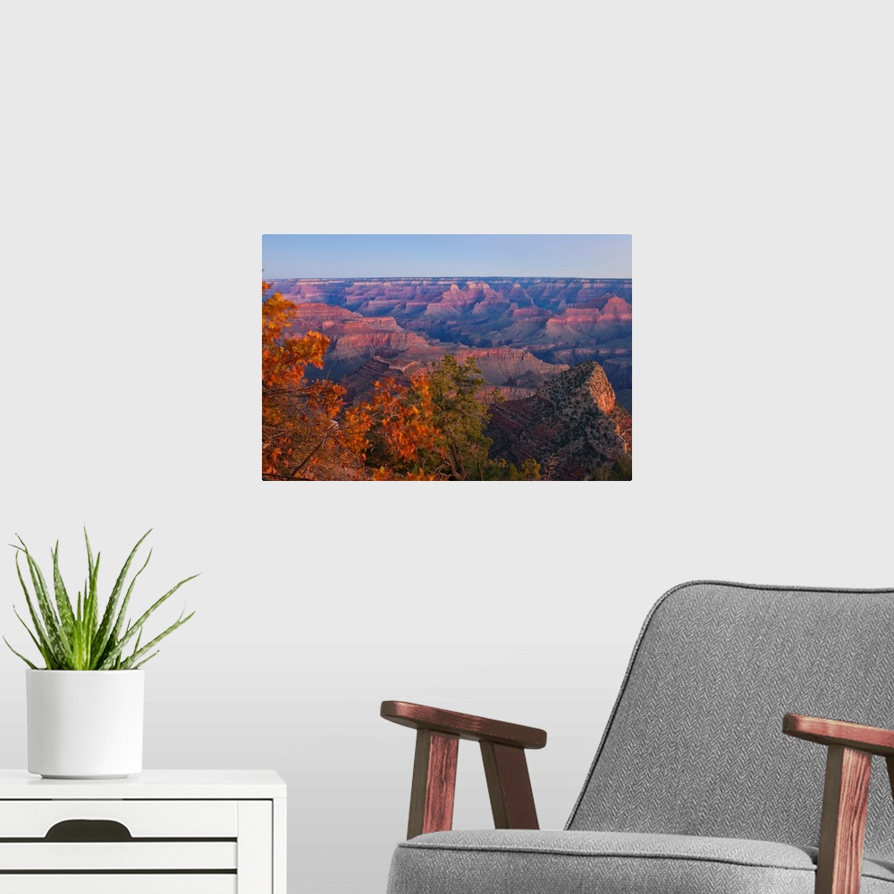 A modern room featuring Giant, landscape photograph of fall colored tree tops overlooking large rock formations as the su...