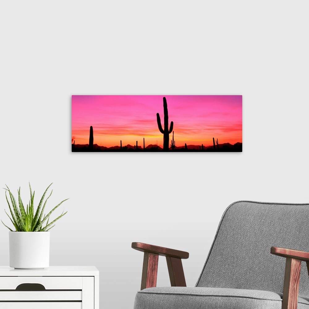 A modern room featuring USA, Arizona, Organ Pipe National Monument, sunset