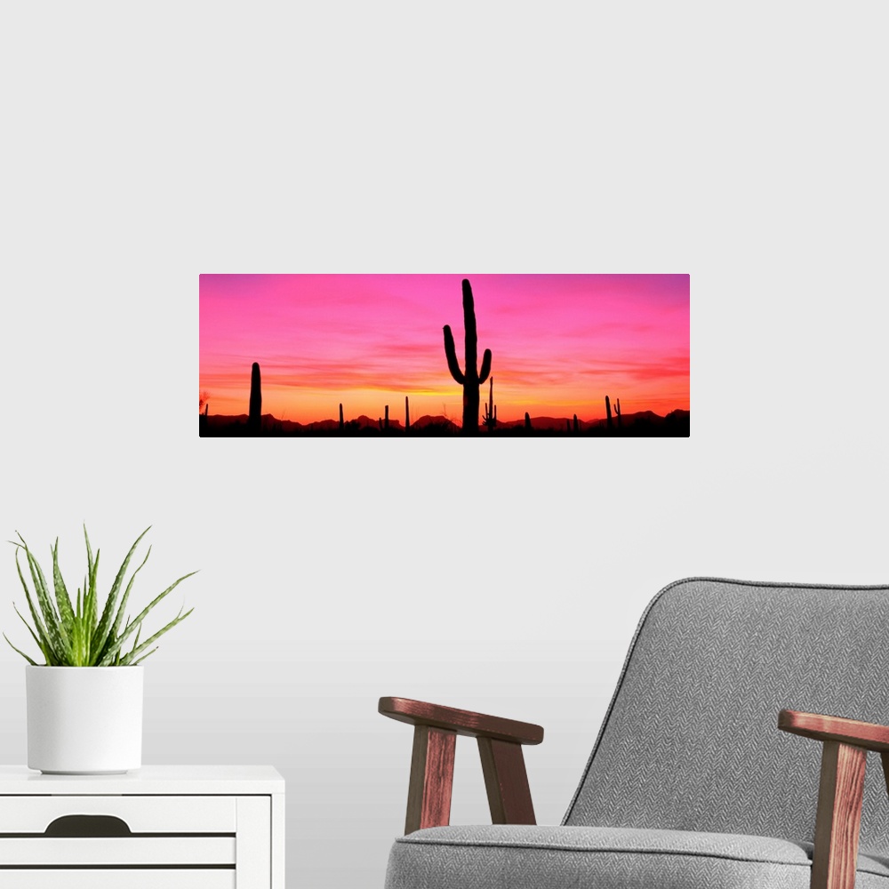 A modern room featuring USA, Arizona, Organ Pipe National Monument, sunset