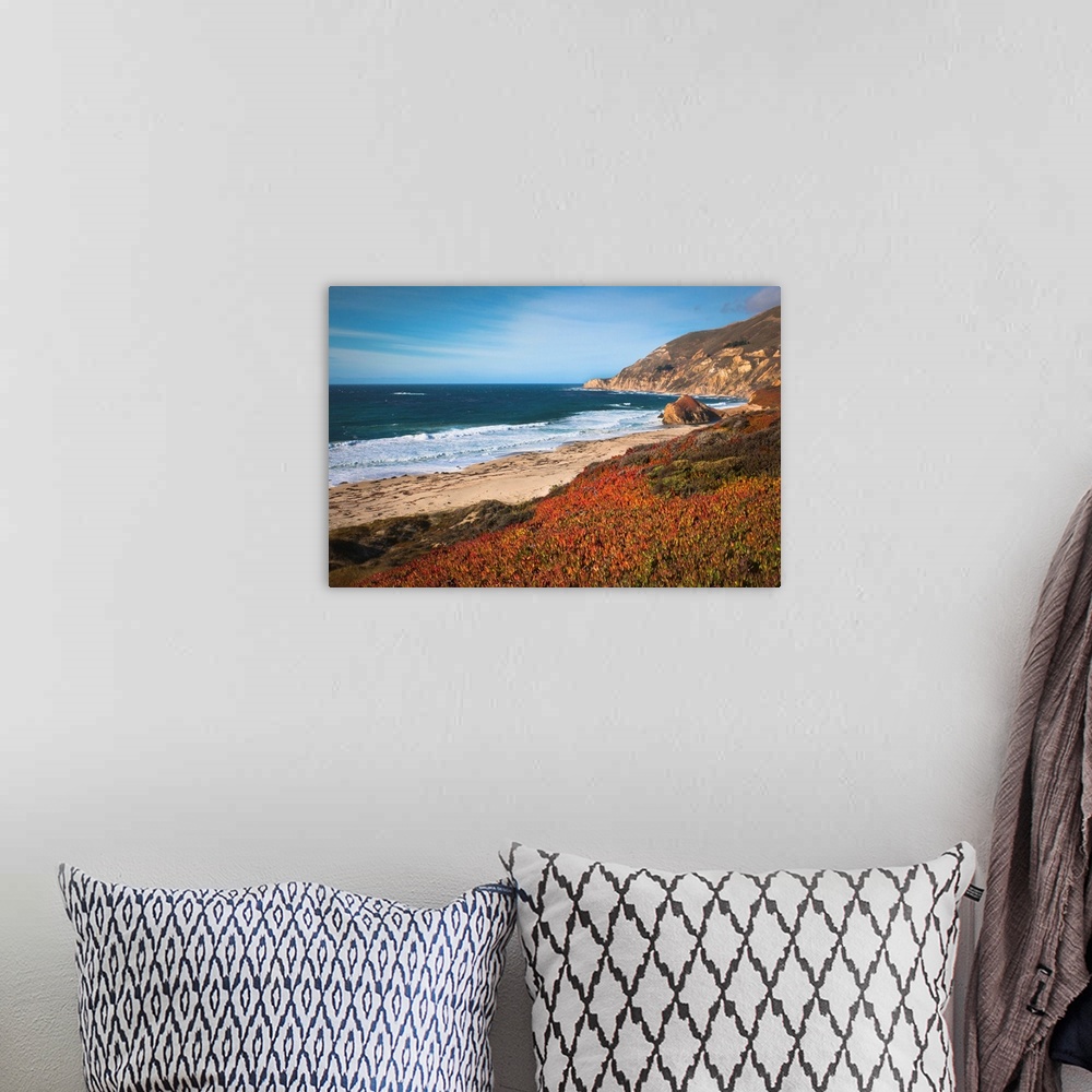A bohemian room featuring USA, California, Big Sur, Red plants by beach