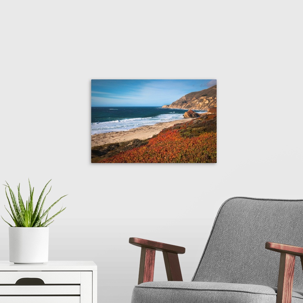 A modern room featuring USA, California, Big Sur, Red plants by beach