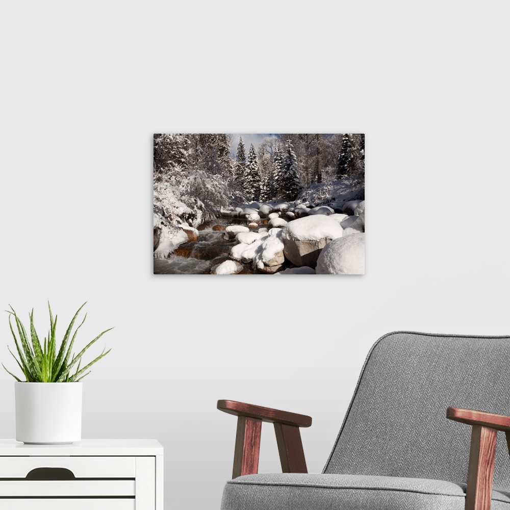 A modern room featuring USA, Colorado, Winter landscape