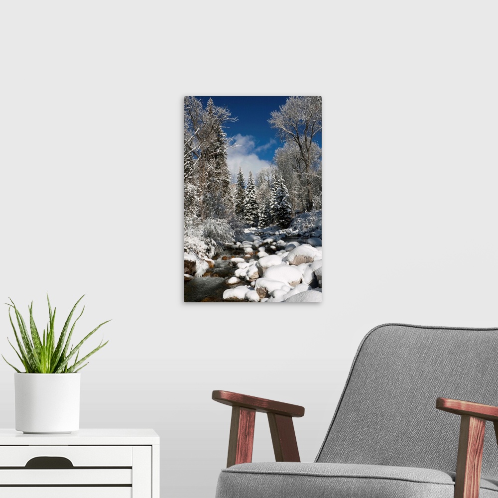 A modern room featuring USA, Colorado, Winter landscape