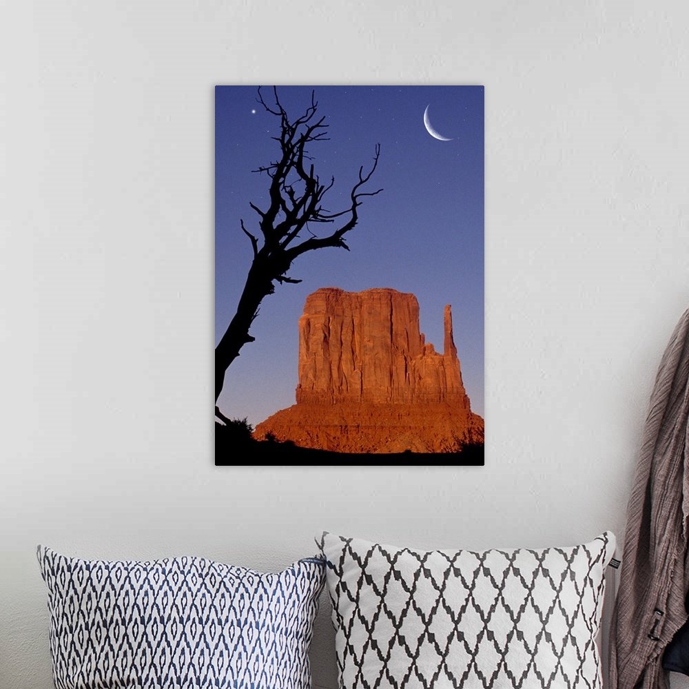 A bohemian room featuring USA, Monument Valley, single mitten and silhouette of branch
