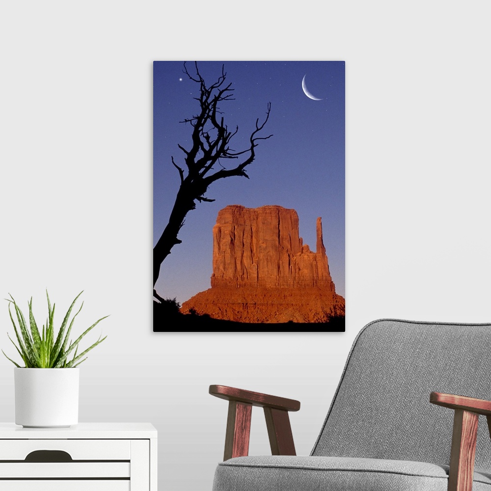 A modern room featuring USA, Monument Valley, single mitten and silhouette of branch