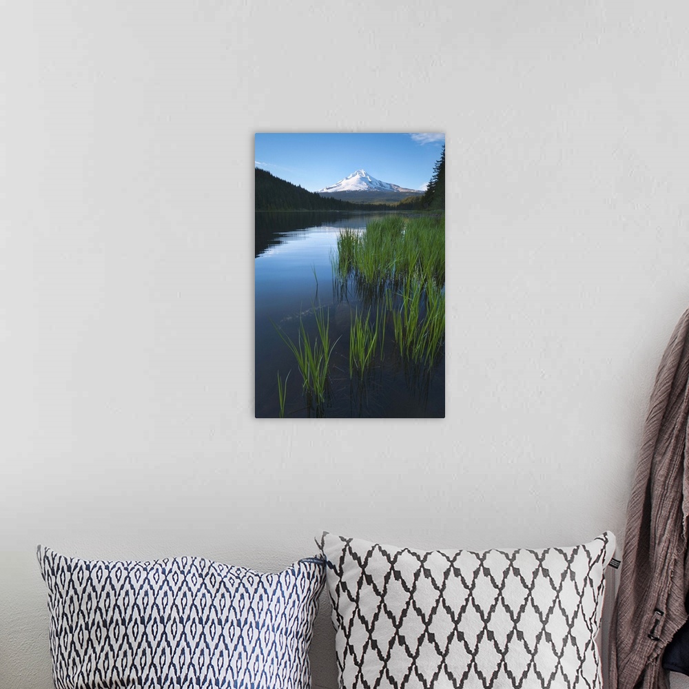 A bohemian room featuring USA, Oregon, Clackamas County, View of Trillium Lake with Mt Hood in background