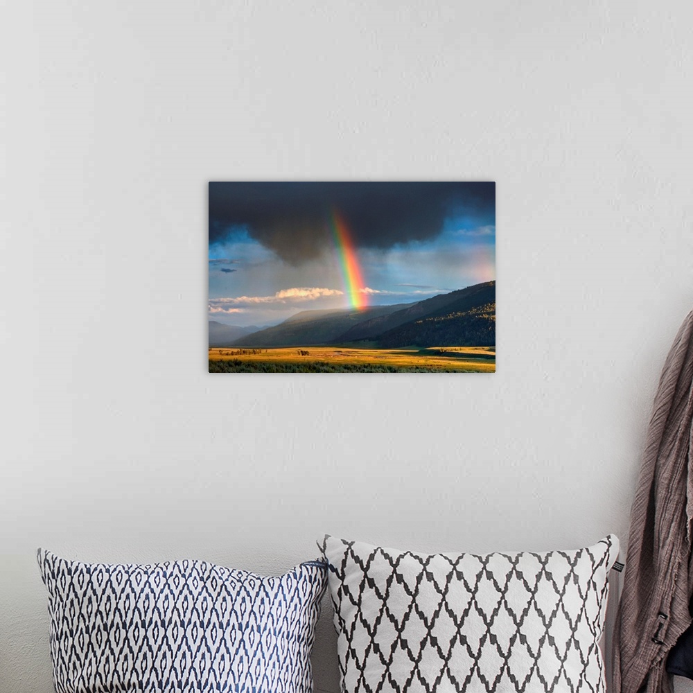 A bohemian room featuring Very intensive rainbow in part of Lamar Valley in Yellowstone, NP.