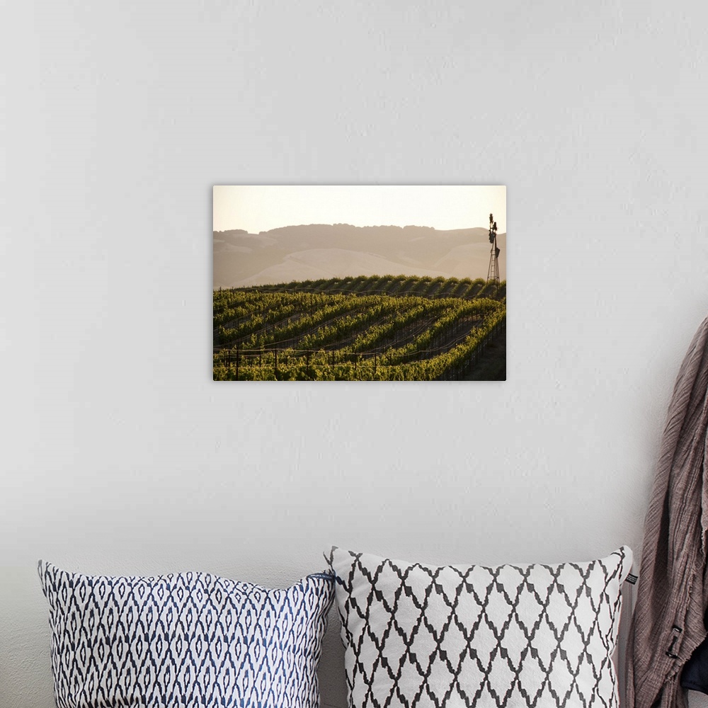 A bohemian room featuring Vineyards and windmill near Sonoma, CA.
