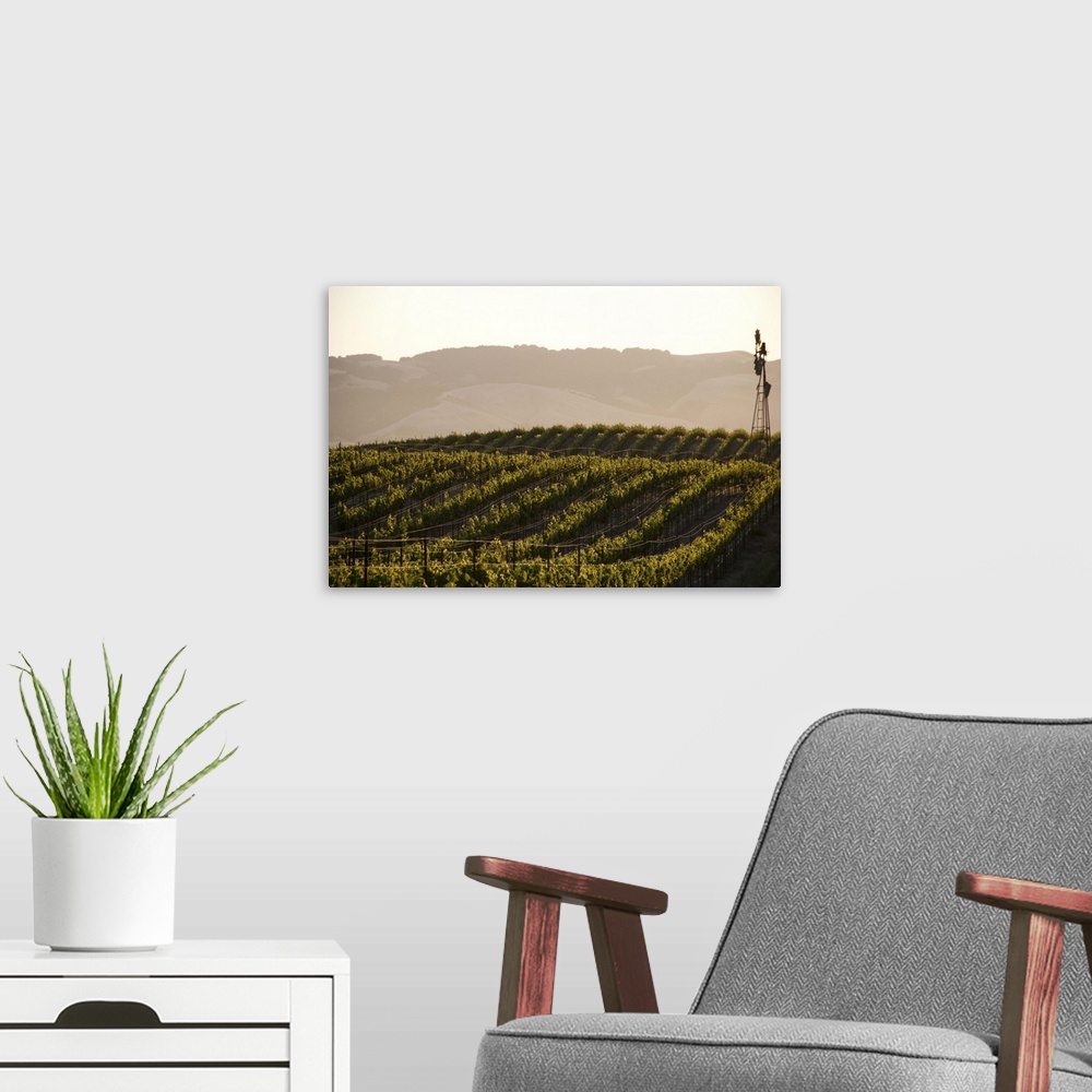 A modern room featuring Vineyards and windmill near Sonoma, CA.