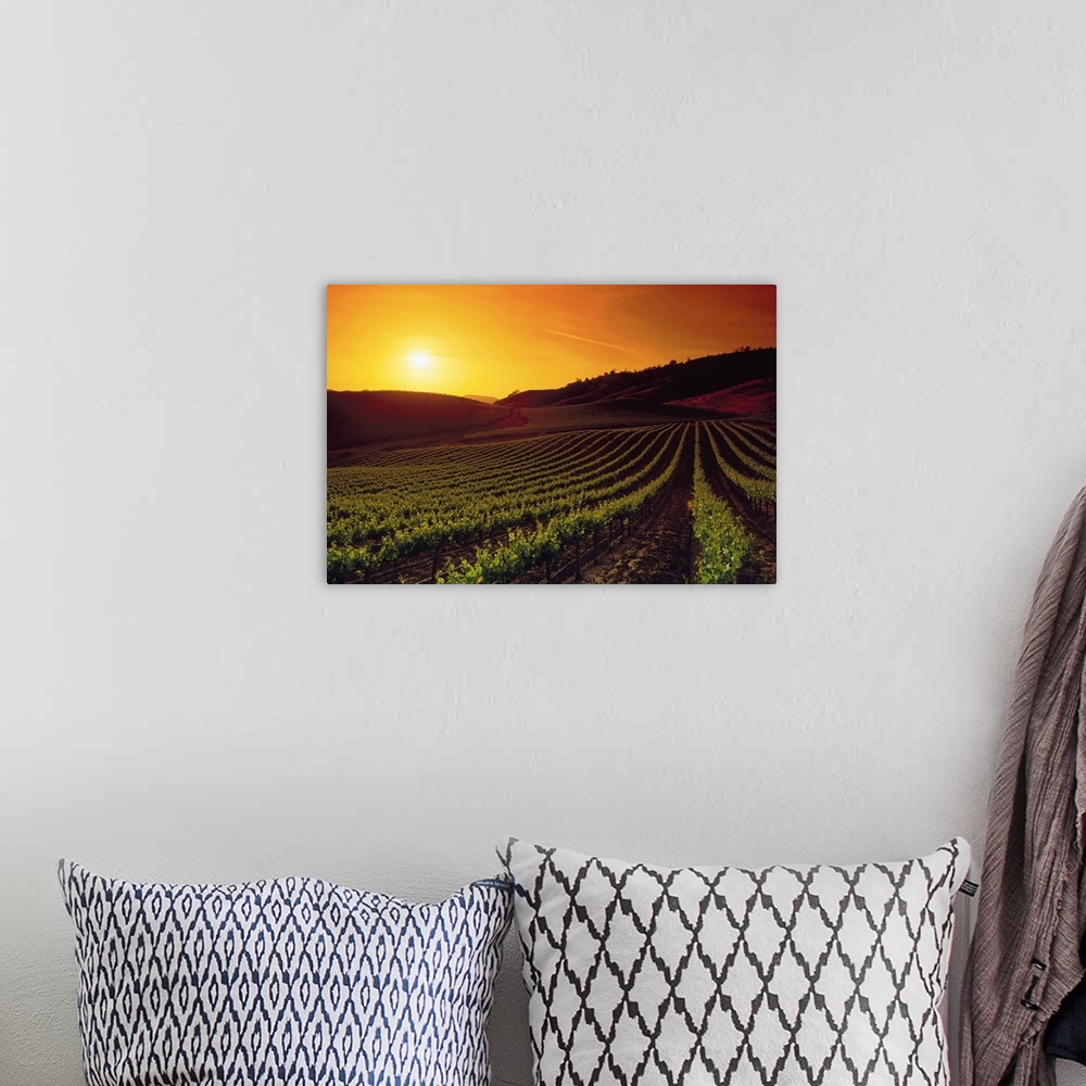 A bohemian room featuring Vineyards At Sunset