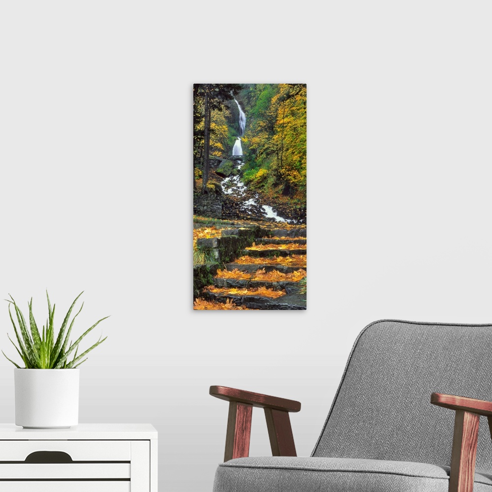 A modern room featuring Wahkeena Falls in autumn in Columbia River Gorge National Scenic Area, Oregon