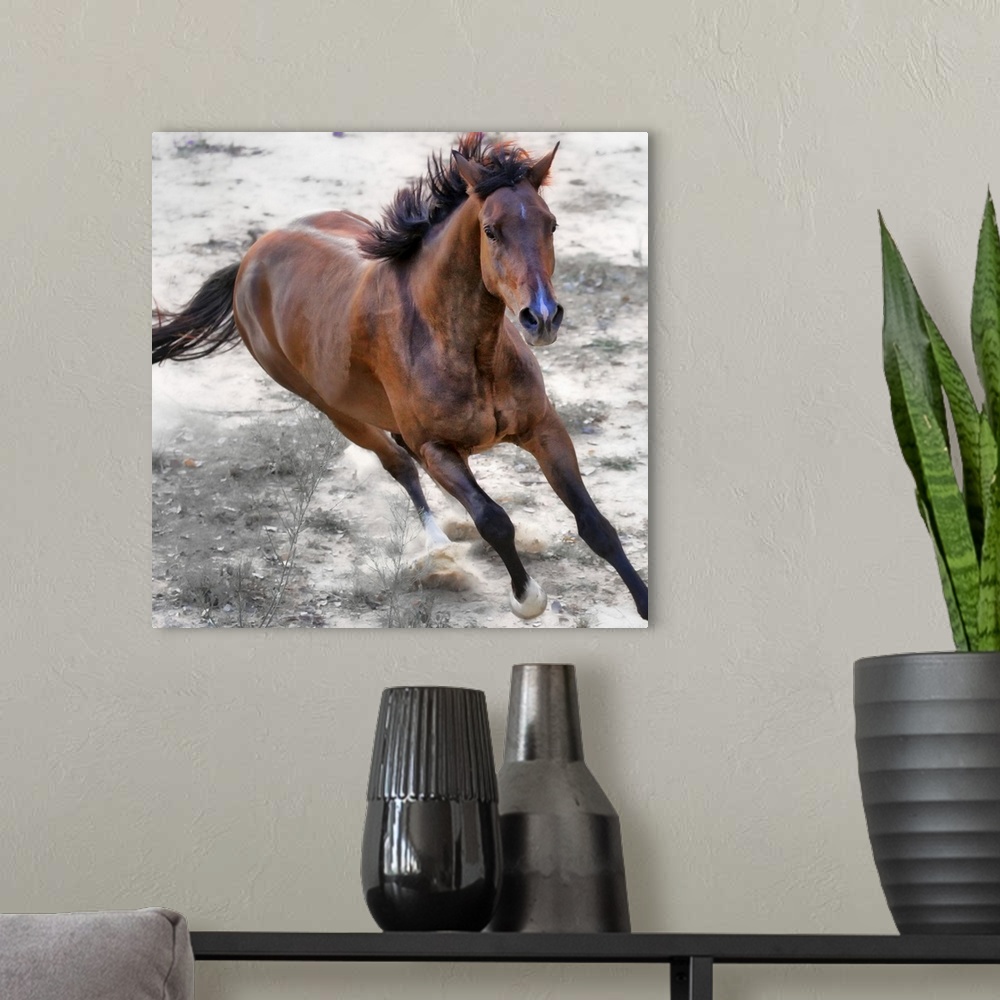 A modern room featuring This is a photograph of a horse mid-gallop that has been edited to reduce the color in the backgr...