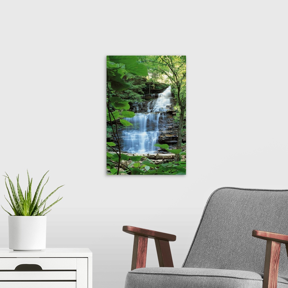 A modern room featuring Waterfall at Rickets Glen State Park , Pennsylvania