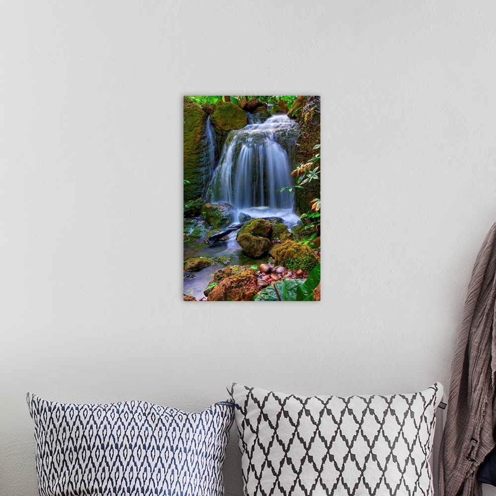 A bohemian room featuring Photograph of cascading water falling into a rocky stream in colorful forest.