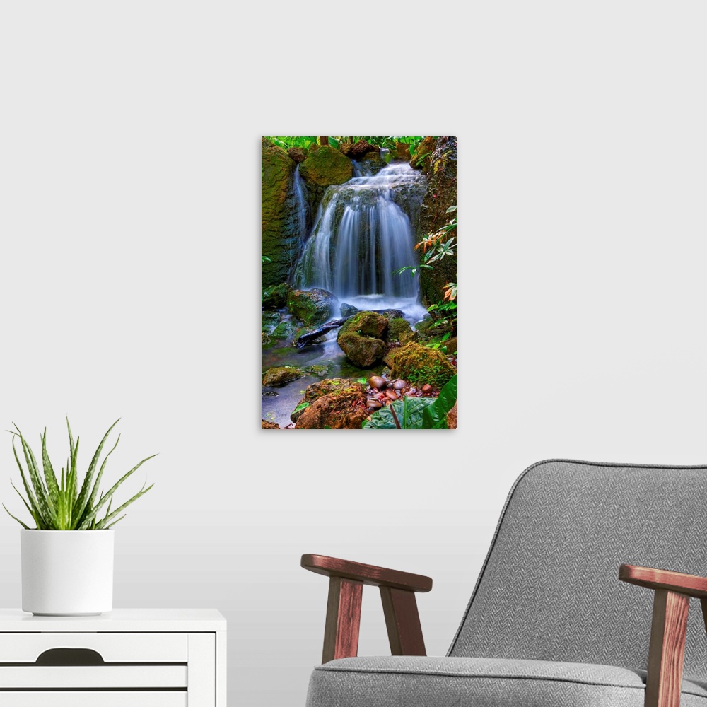 A modern room featuring Photograph of cascading water falling into a rocky stream in colorful forest.