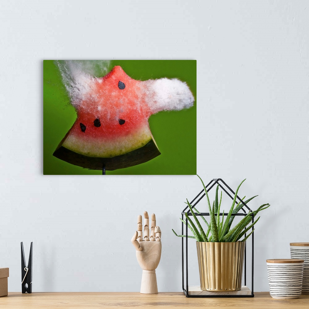A bohemian room featuring A slice of watermelon explodes in a spray from a high speed impact.