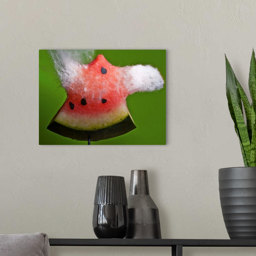 A modern room featuring A slice of watermelon explodes in a spray from a high speed impact.