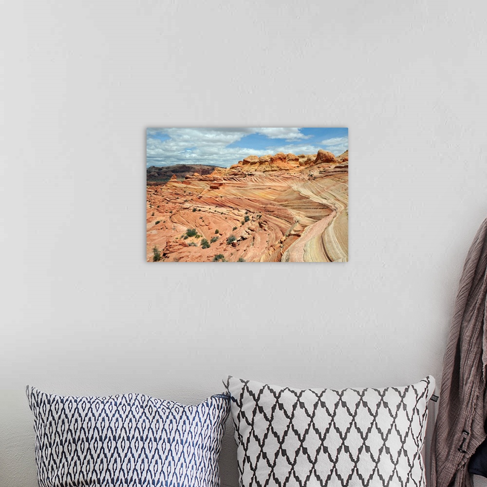A bohemian room featuring Wave Formation from sand dunes in North Arizona.