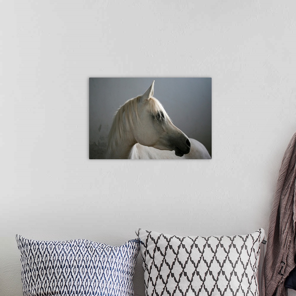 A bohemian room featuring A horse is photographed as it turns its head so only the right side is pictured.