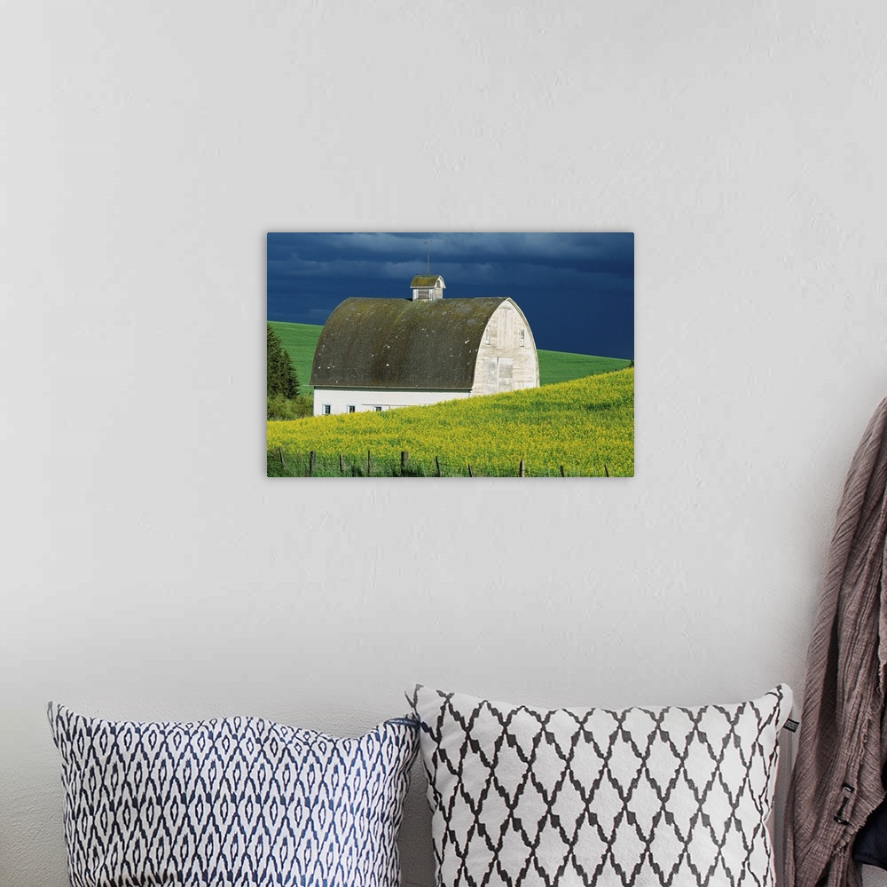 A bohemian room featuring White Barn And Canola Field