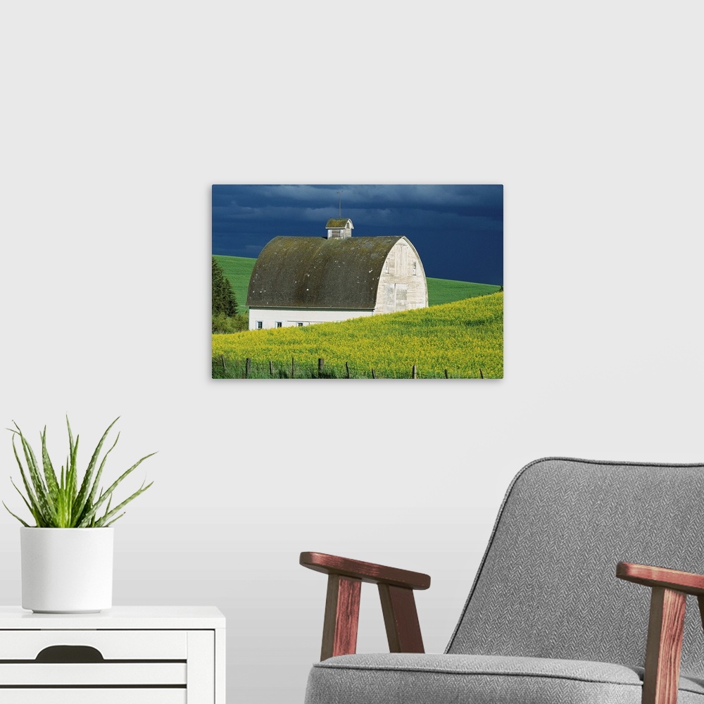 A modern room featuring White Barn And Canola Field