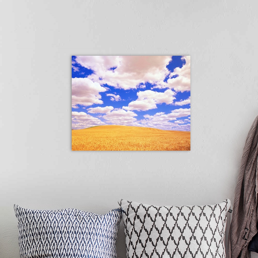 A bohemian room featuring White Clouds Over Wheat Field
