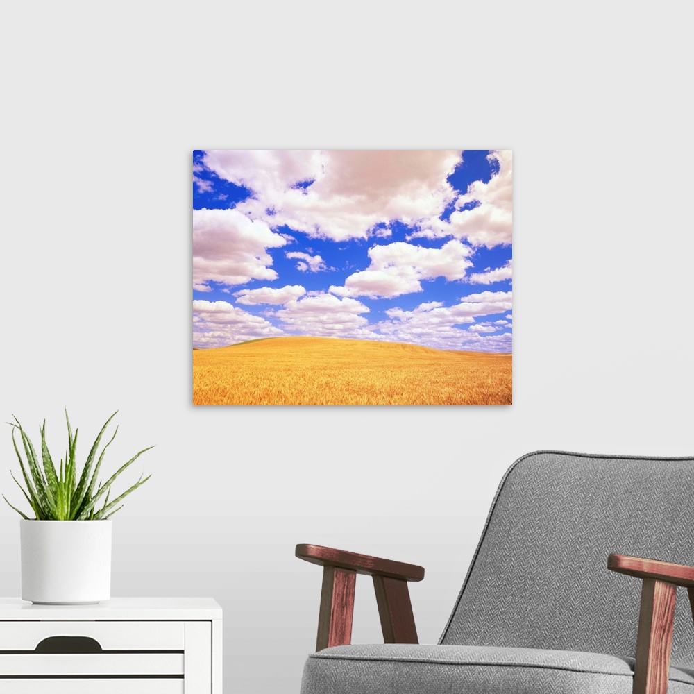 A modern room featuring White Clouds Over Wheat Field