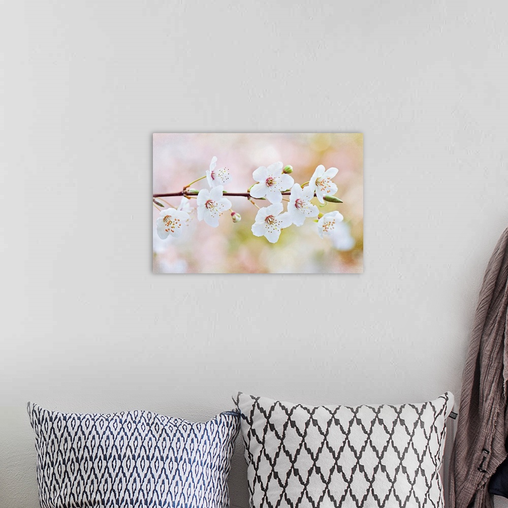 A bohemian room featuring Horizontal photograph on a big wall hanging of a single branch of blooming cherry blossoms, again...
