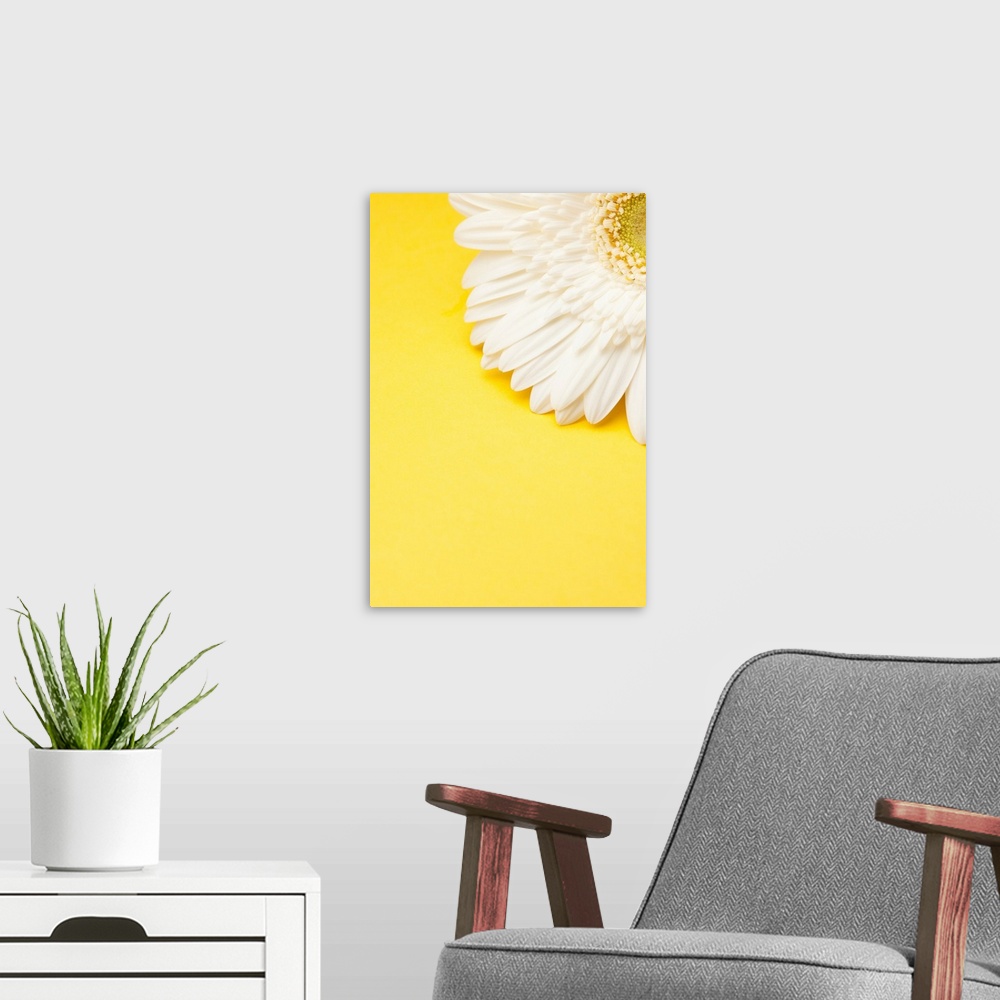 A modern room featuring White Gerbera daisy with yellow copyspace.