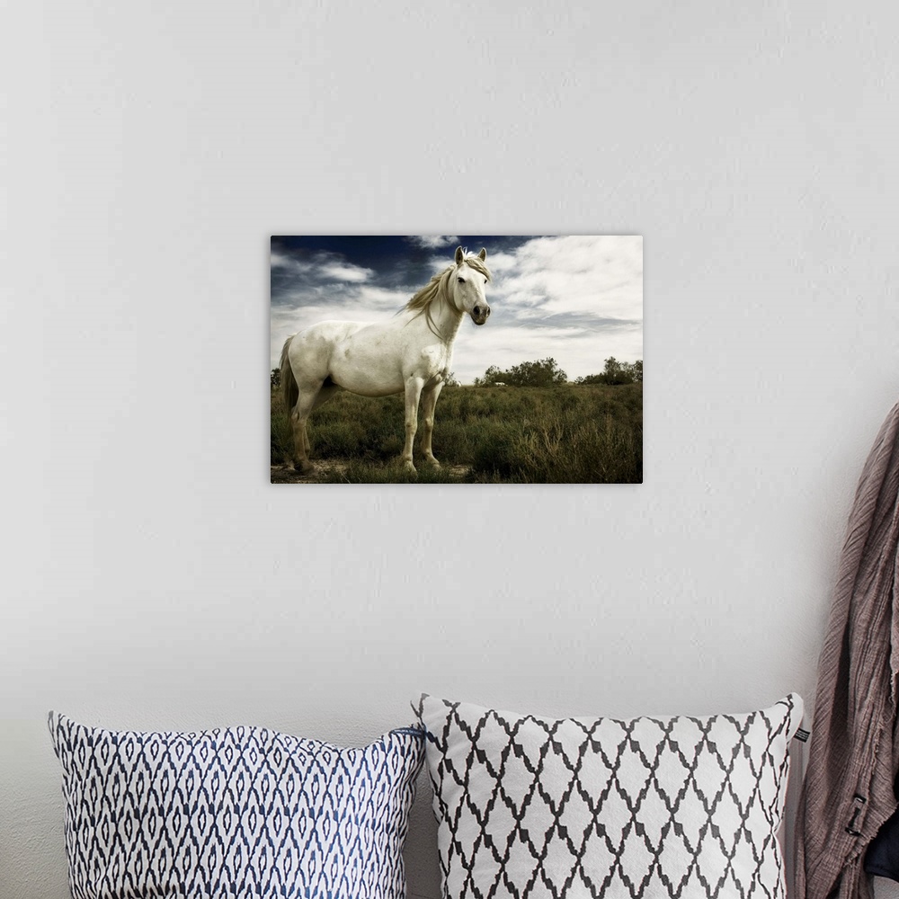 A bohemian room featuring White horse
