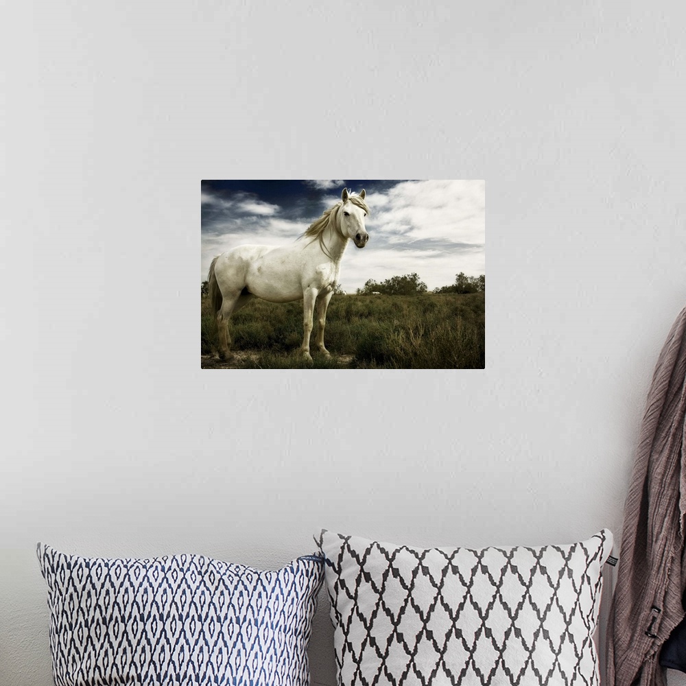 A bohemian room featuring White horse