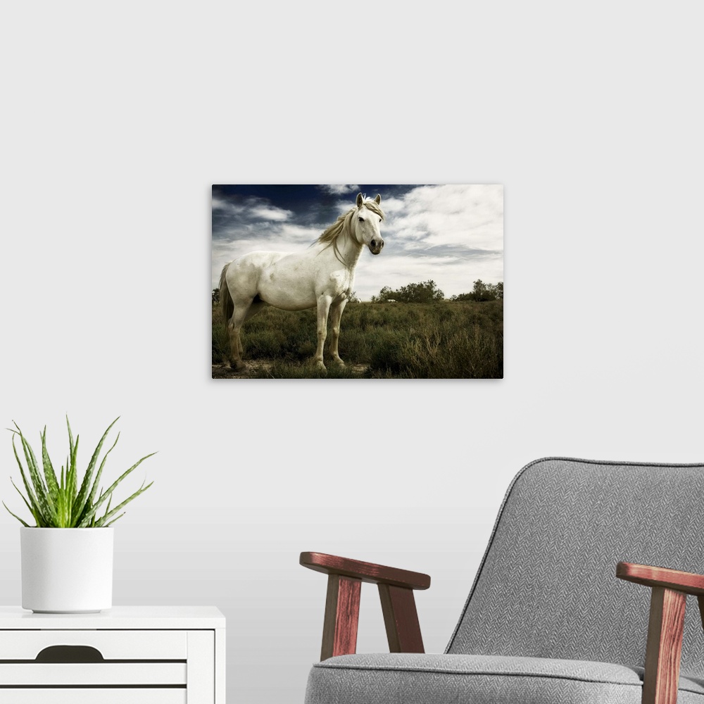 A modern room featuring White horse