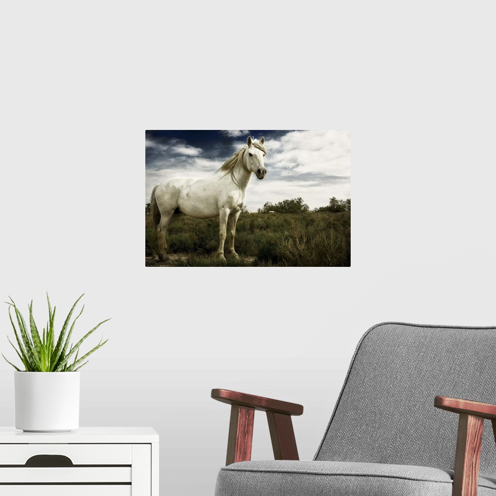 A modern room featuring White horse