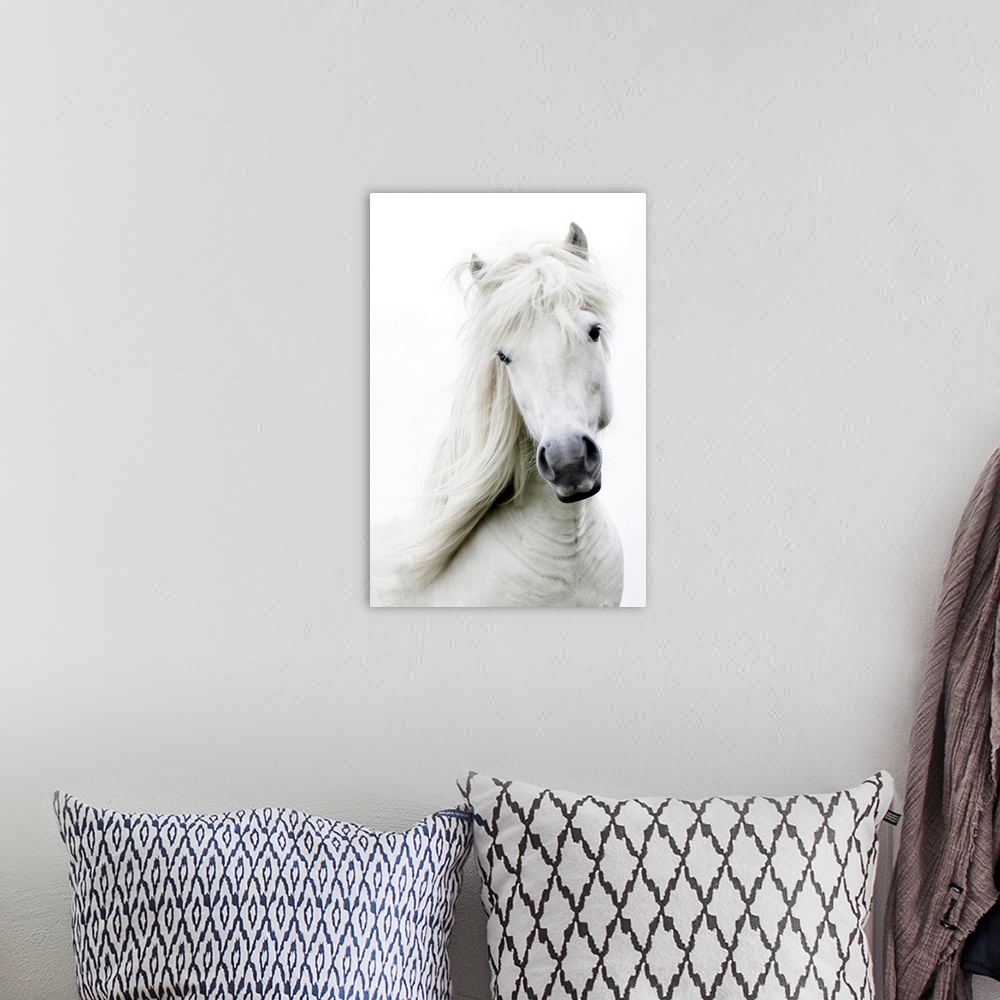 A bohemian room featuring White on white, white dreamy horse.