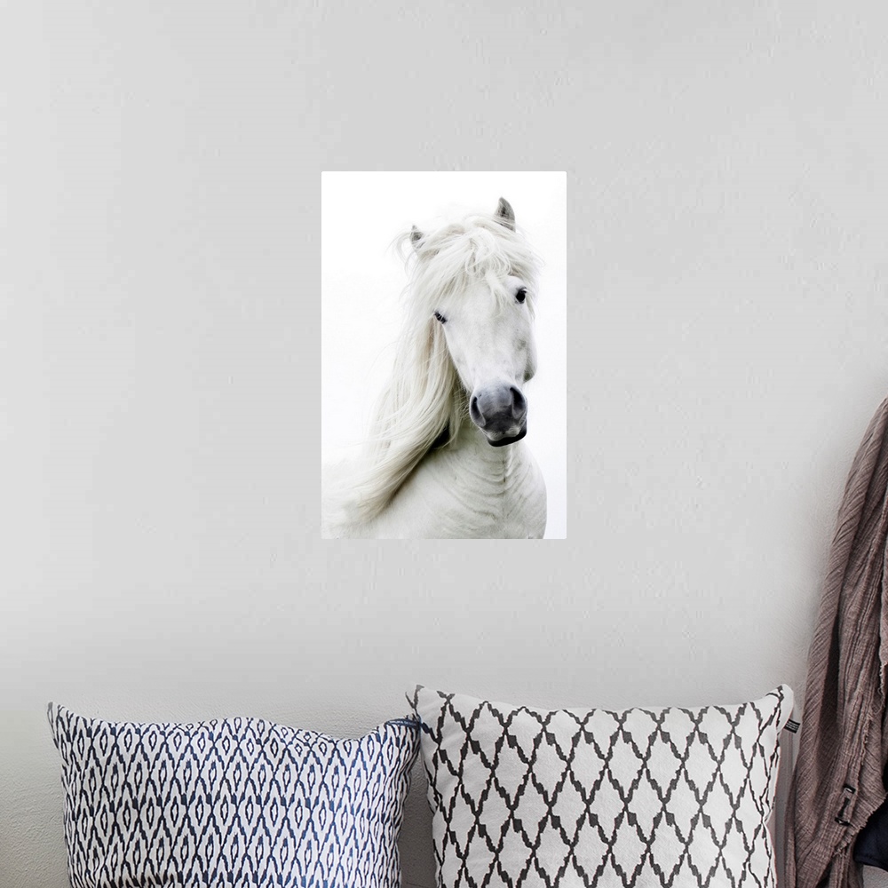 A bohemian room featuring White on white, white dreamy horse.