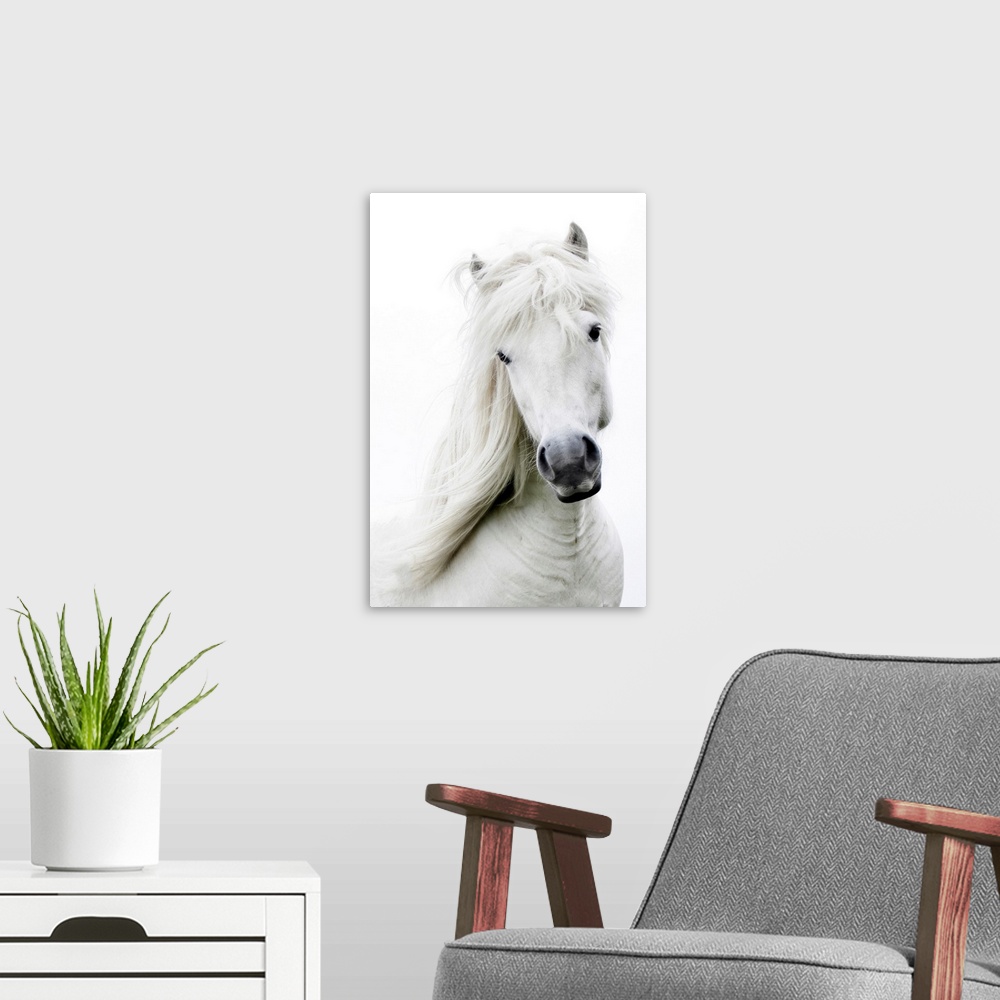 A modern room featuring White on white, white dreamy horse.