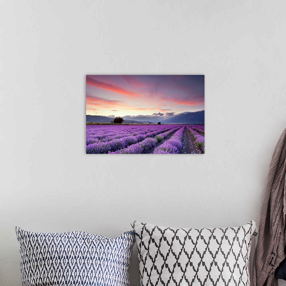 A bohemian room featuring Big canvas print of large fields of flowers with misty rolling hills in the background at sunset.