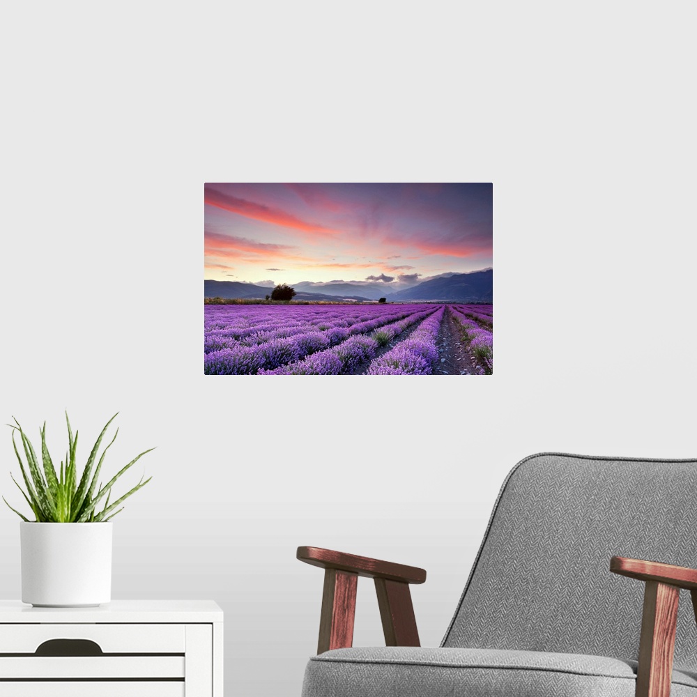 A modern room featuring Big canvas print of large fields of flowers with misty rolling hills in the background at sunset.