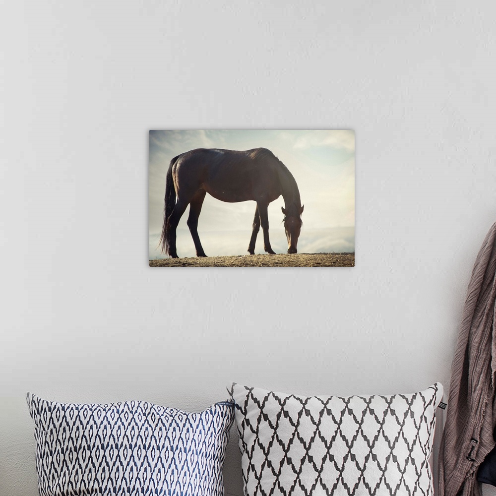 A bohemian room featuring Wild brown horse standing at canyon during sunset.