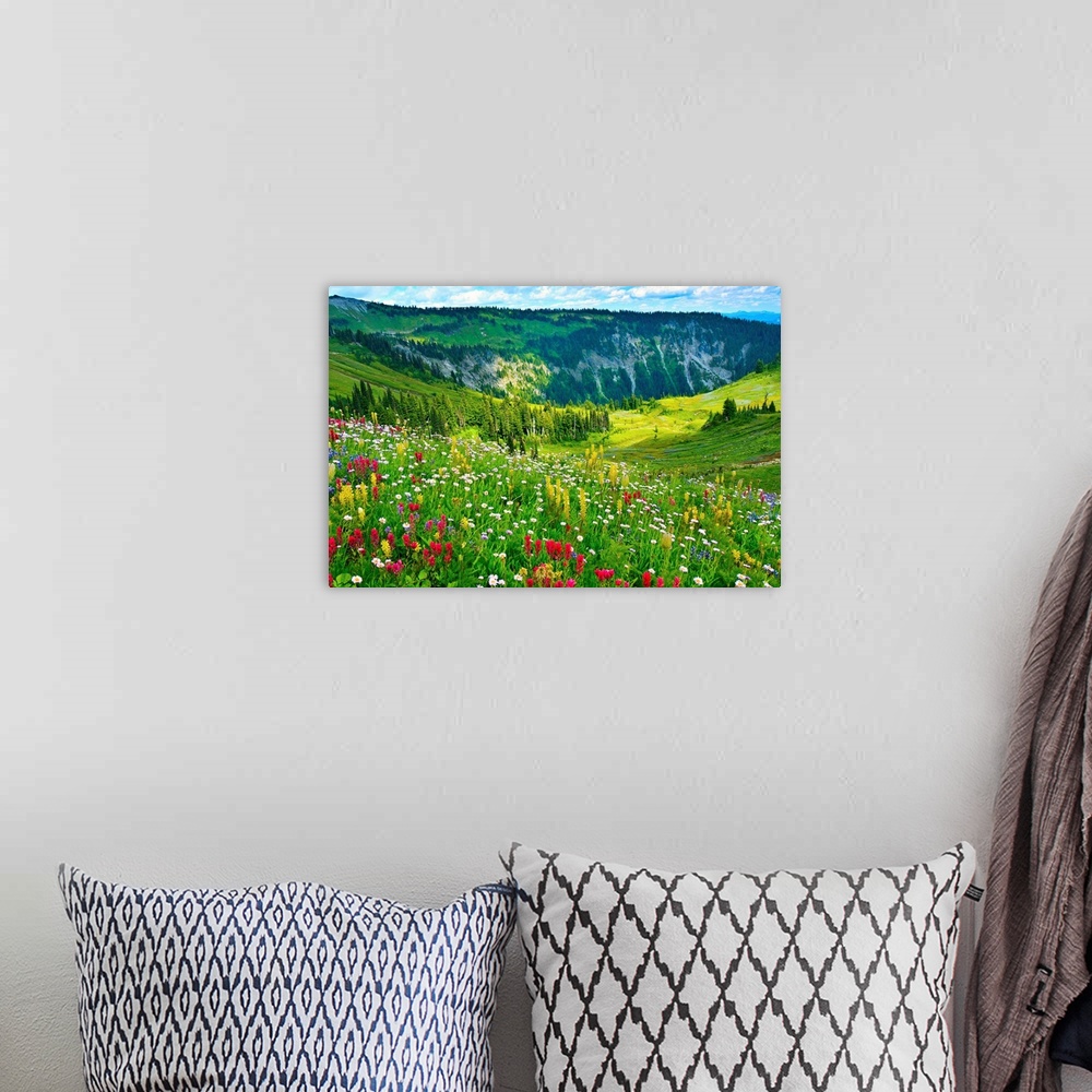 A bohemian room featuring Wild flowers blooming on top of Mount Rainier during the summer.